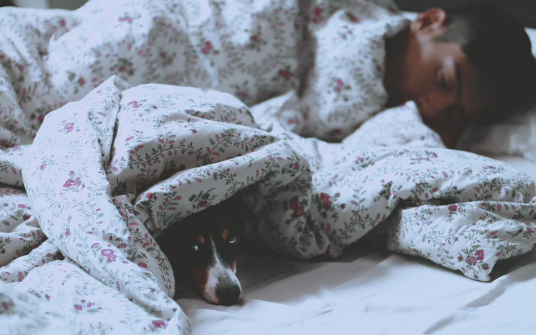 TEMPERATURA IDEAL PARA DORMIR