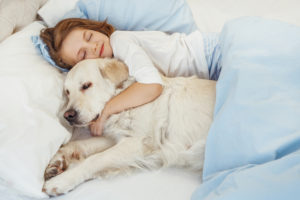 dormir con mascota